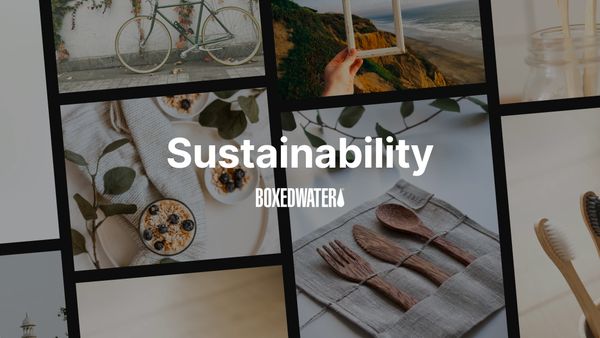 Boxed Water Is Better’s Sustainability Selects